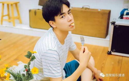 娱乐圈吃瓜爆料胡一天,娱乐圈风云再起，吃瓜爆料揭秘幕后真相